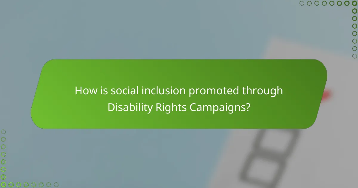 How is social inclusion promoted through Disability Rights Campaigns?