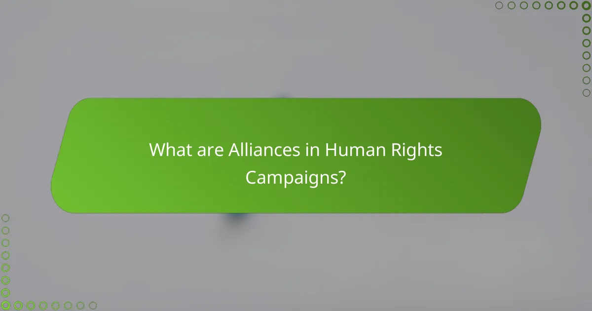 What are Alliances in Human Rights Campaigns?