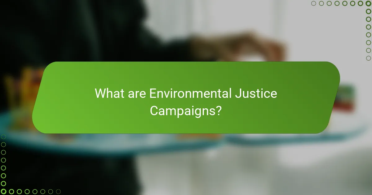 What are Environmental Justice Campaigns?