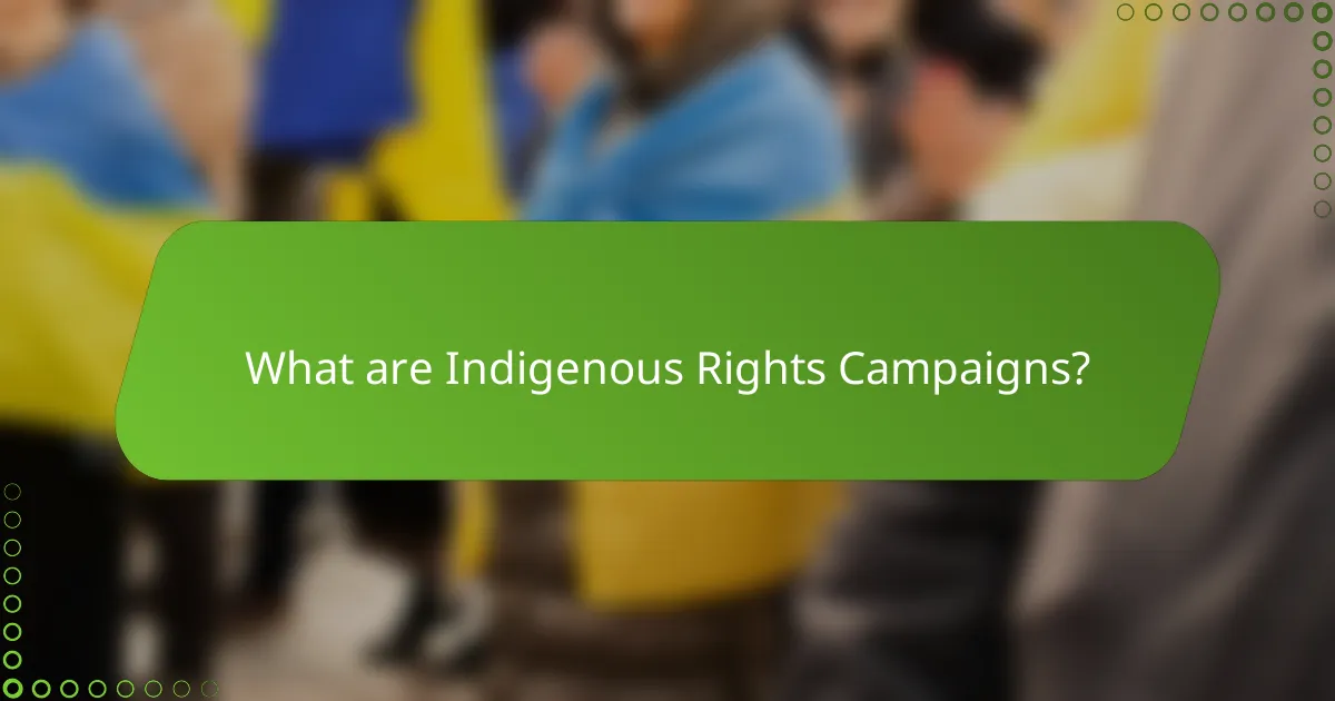 What are Indigenous Rights Campaigns?
