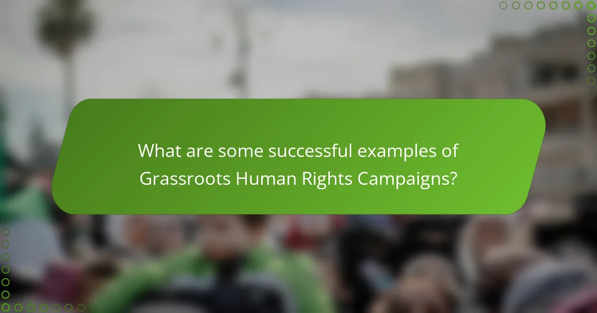 What are some successful examples of Grassroots Human Rights Campaigns?
