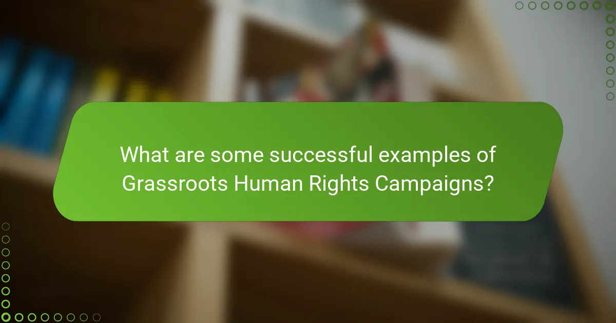 What are some successful examples of Grassroots Human Rights Campaigns?
