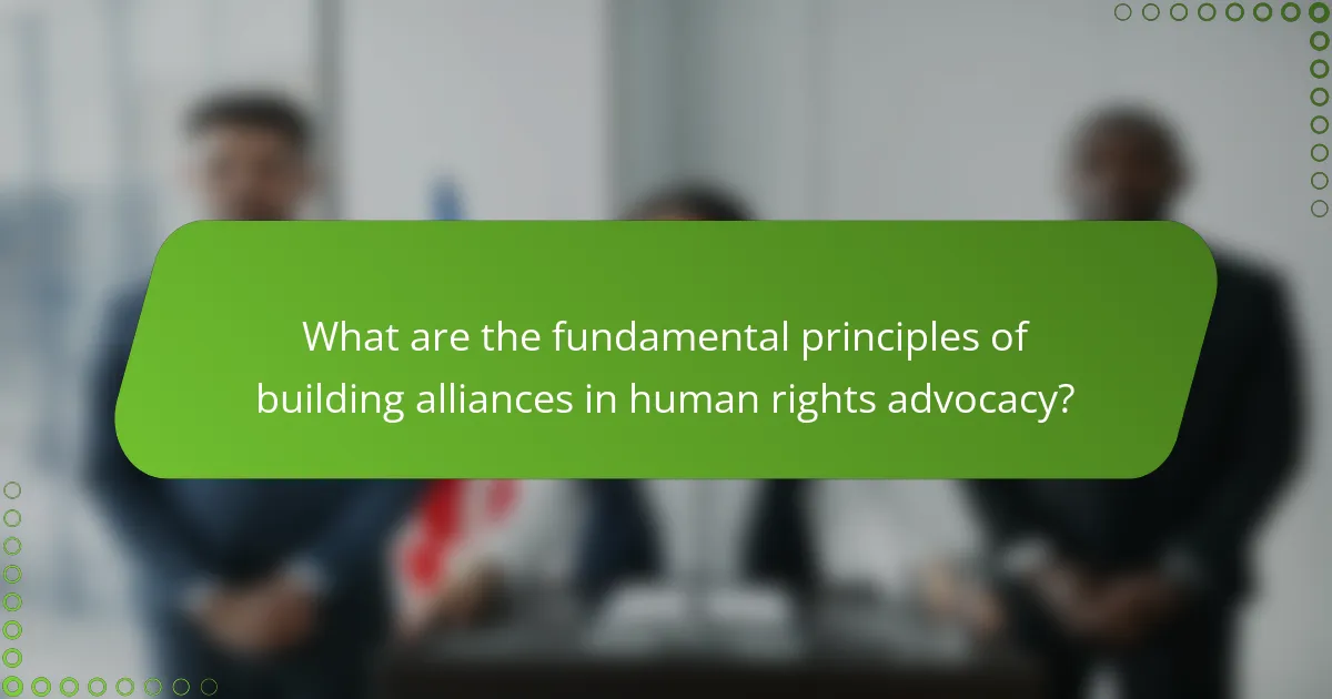 What are the fundamental principles of building alliances in human rights advocacy?