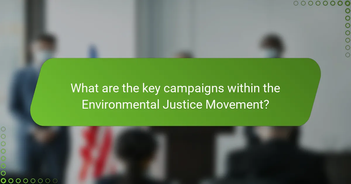 What are the key campaigns within the Environmental Justice Movement?