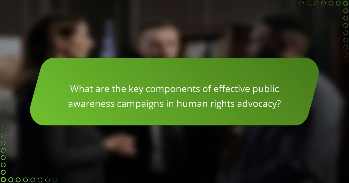What are the key components of effective public awareness campaigns in human rights advocacy?