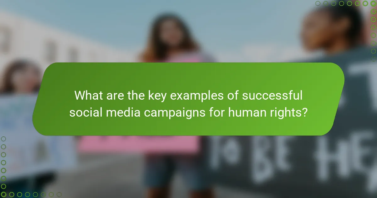 What are the key examples of successful social media campaigns for human rights?