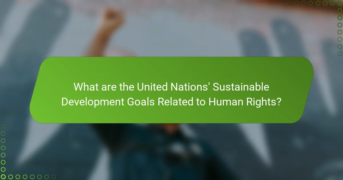 What are the United Nations' Sustainable Development Goals Related to Human Rights?
