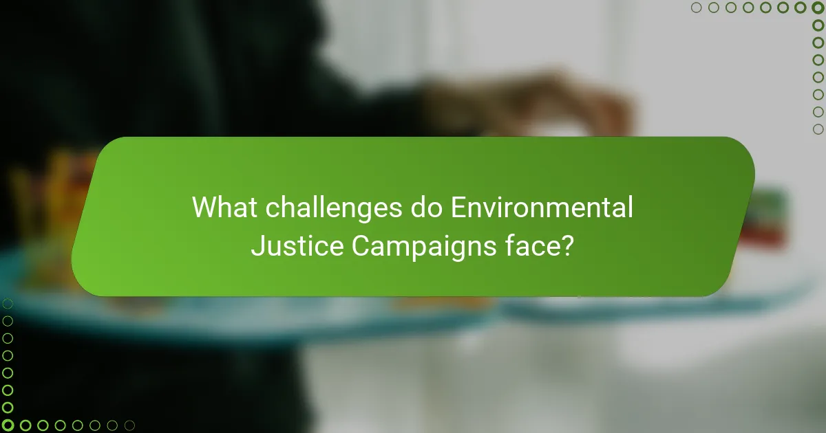 What challenges do Environmental Justice Campaigns face?
