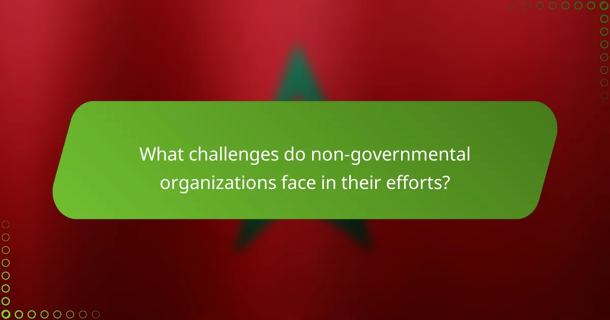 What challenges do non-governmental organizations face in their efforts?