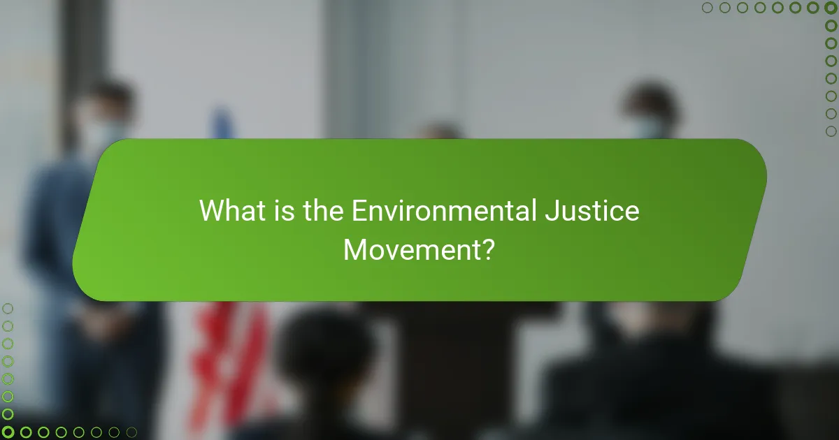What is the Environmental Justice Movement?