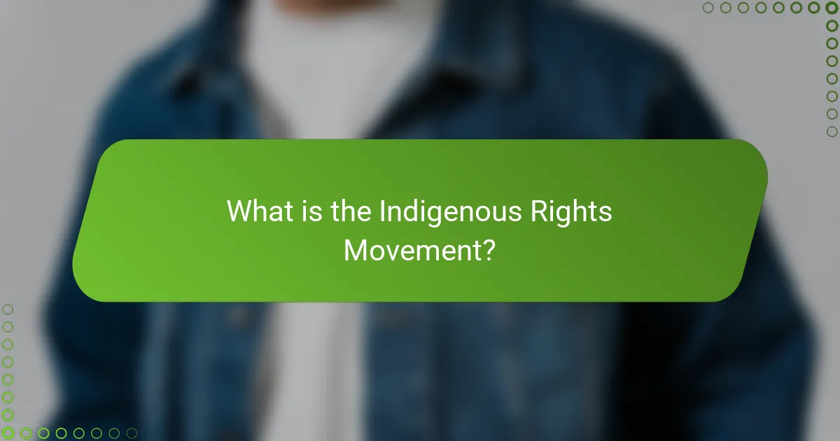 What is the Indigenous Rights Movement?
