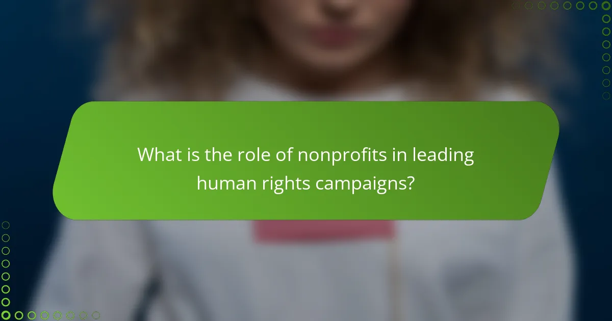 What is the role of nonprofits in leading human rights campaigns?