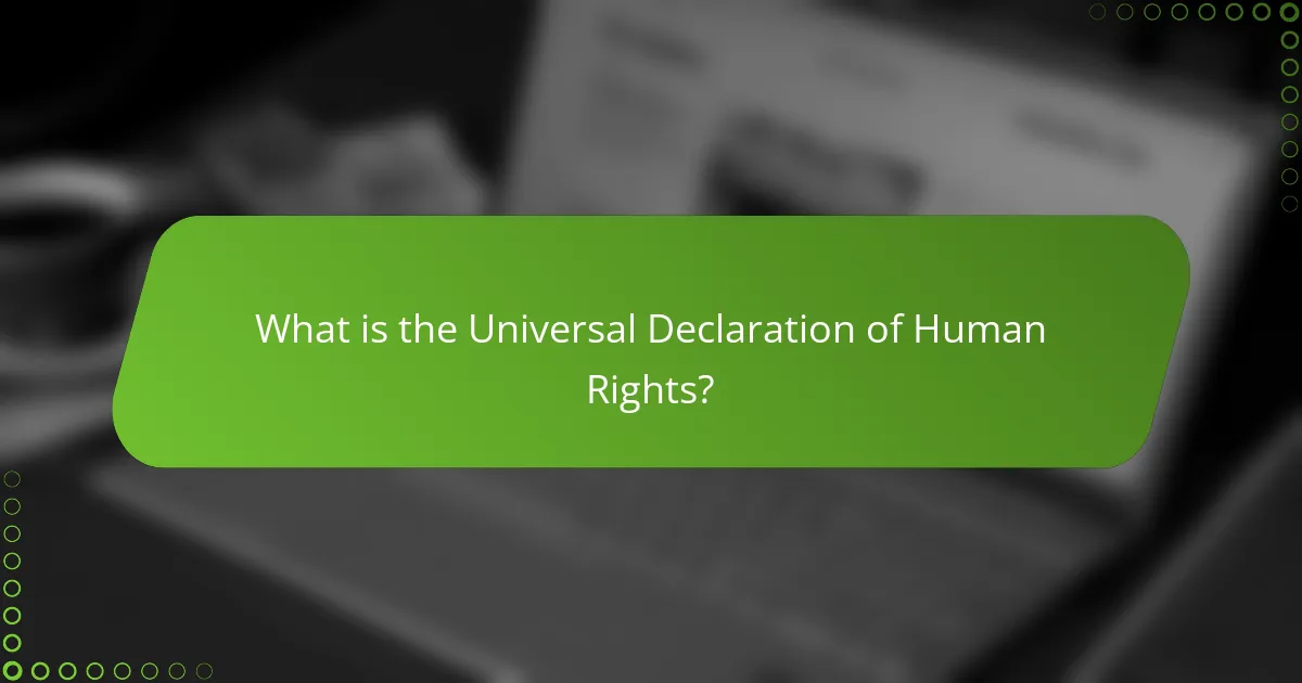 What is the Universal Declaration of Human Rights?