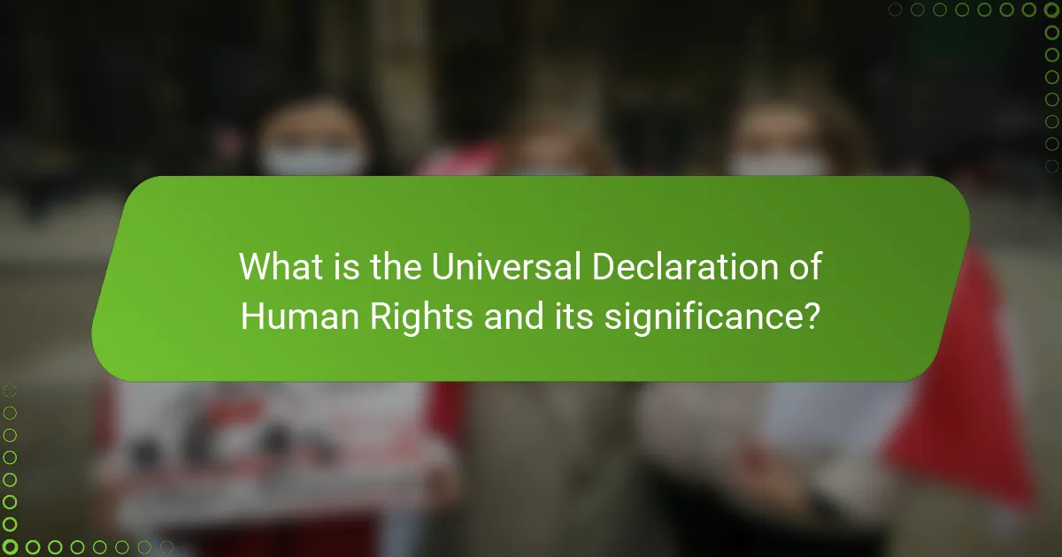 What is the Universal Declaration of Human Rights and its significance?