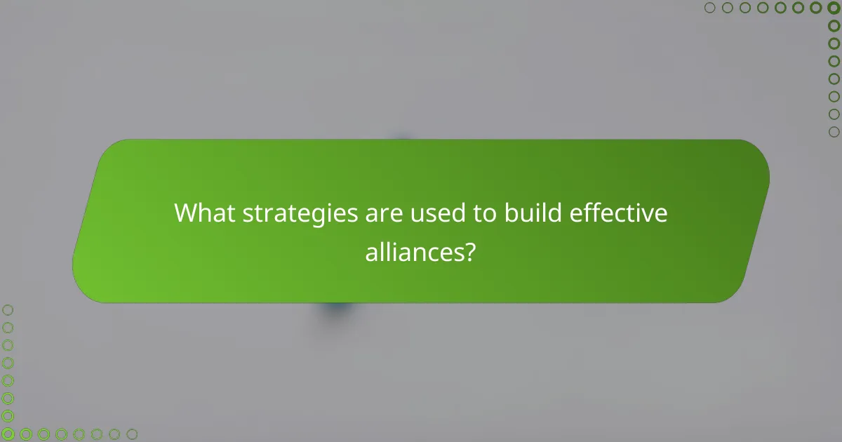 What strategies are used to build effective alliances?