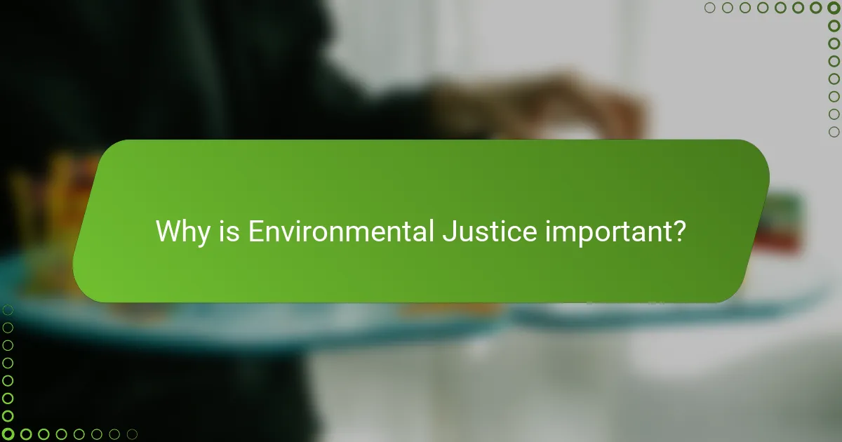 Why is Environmental Justice important?